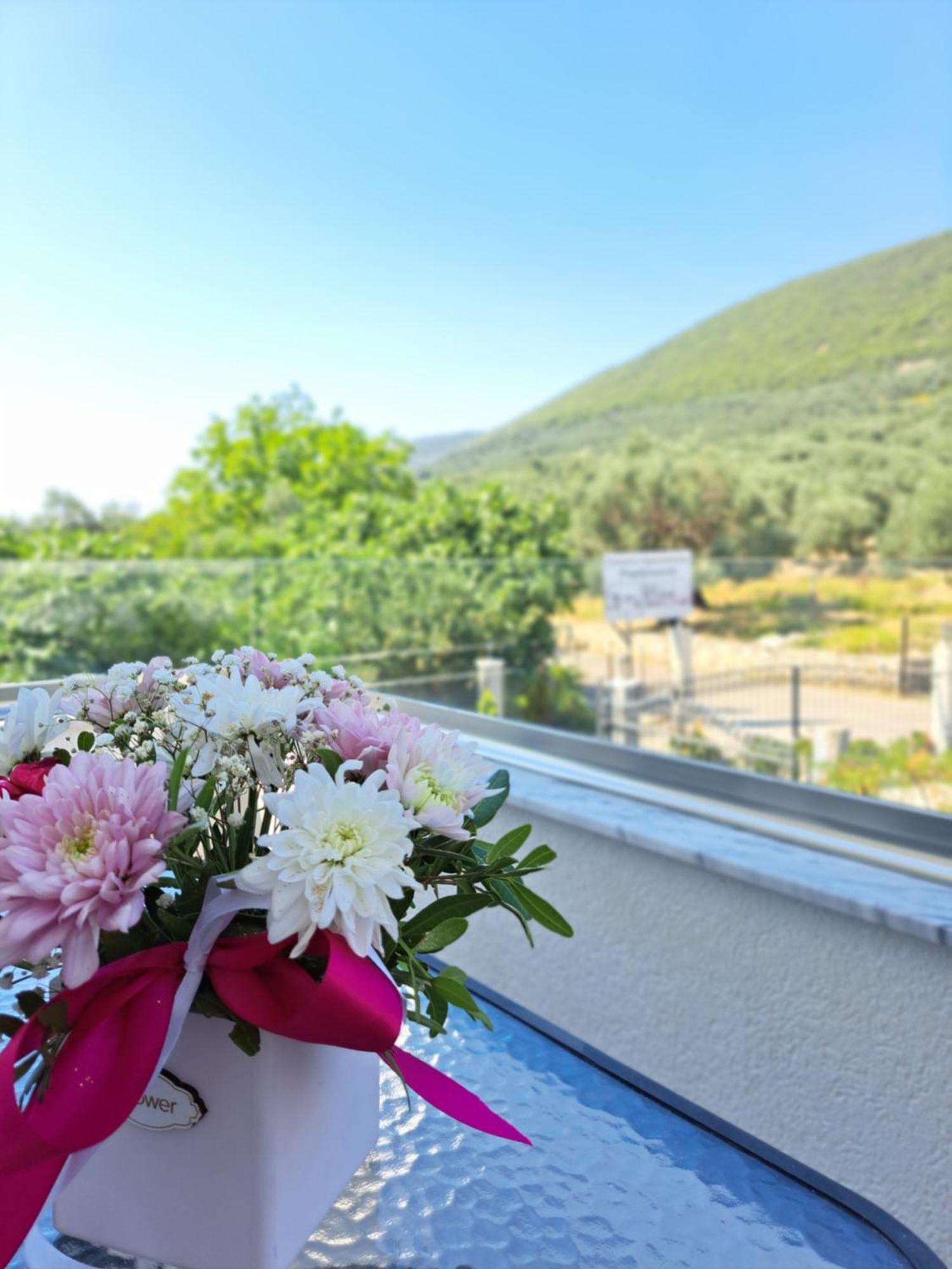 Apartments Pepdjonovic Ούλτσιν Εξωτερικό φωτογραφία