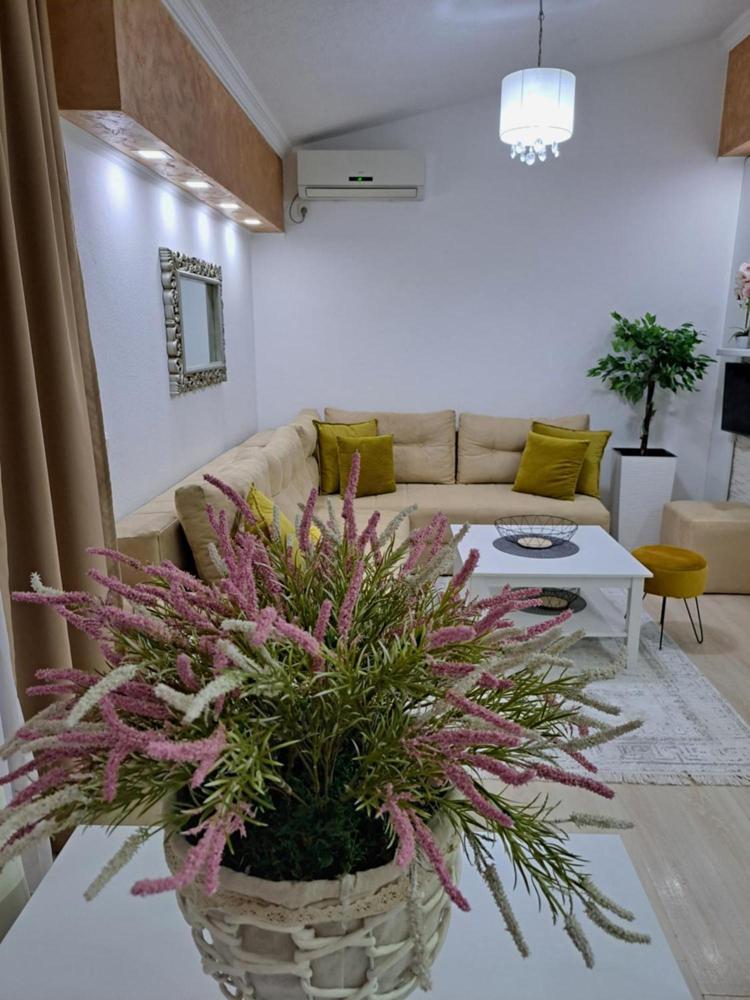 Apartments Pepdjonovic Ούλτσιν Εξωτερικό φωτογραφία